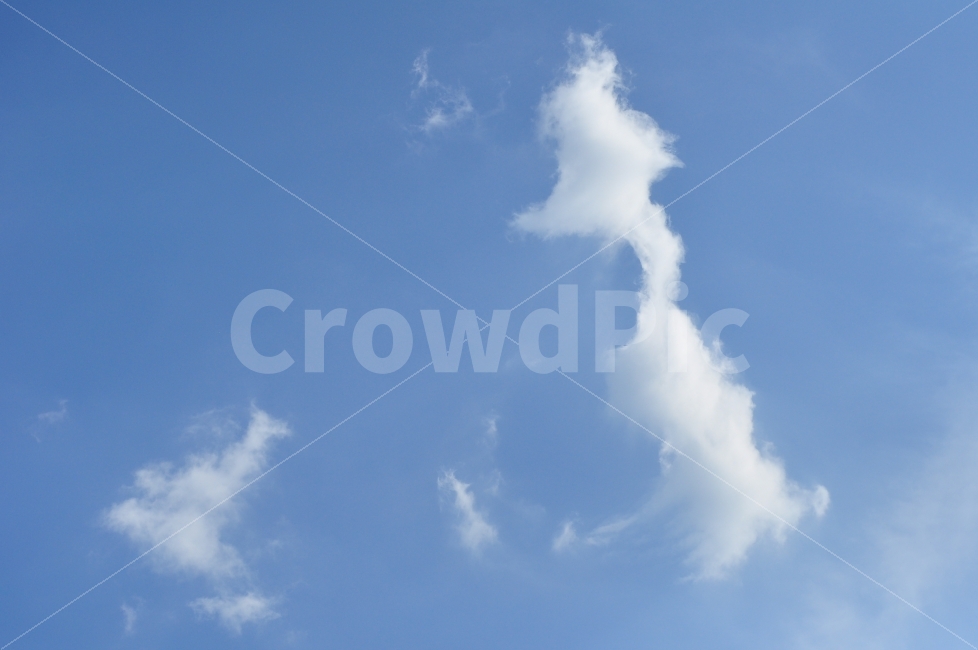 하늘,구름,여름,가을,파란하늘,sky,clouds,floating,summer,autumn,bluesky,자연,풍경,nature,landscape,outdoors,옥외