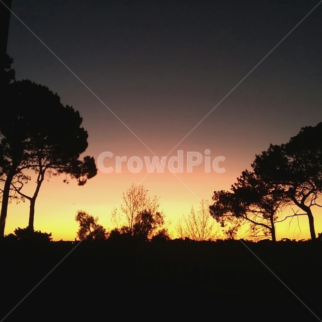 perth,austrailia,innaloo,sunset,sky,퍼스,호주,이날루,노을,하늘,자연,풍경,nature,landscape,실루엣,그림자,silhouette,shadow,outdoors,옥외,dawn,새벽,일몰,red sky,붉은 하늘,dusk,황혼