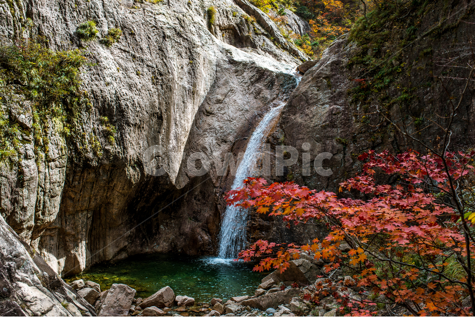 산,강원도산,설악산,설악산가을,가을설악산,강원도설악산,풍경,자연풍경,단풍,설악산단풍,폭포,waterfall,nature,자연,outdoors,river,가을,계절,fall,autumn,season,자연,풍경,nature,landscape,water,물,강,옥외