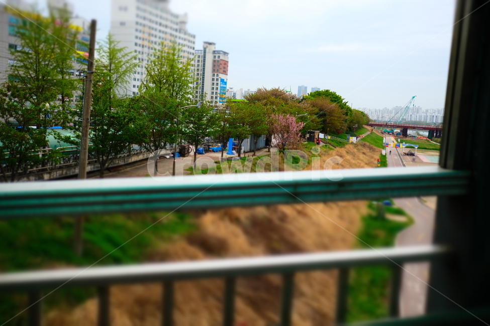 산책,봄,안양천,공원,빌딩숲,도시,풍경,city,landscape,railing,난간,banister,handrail