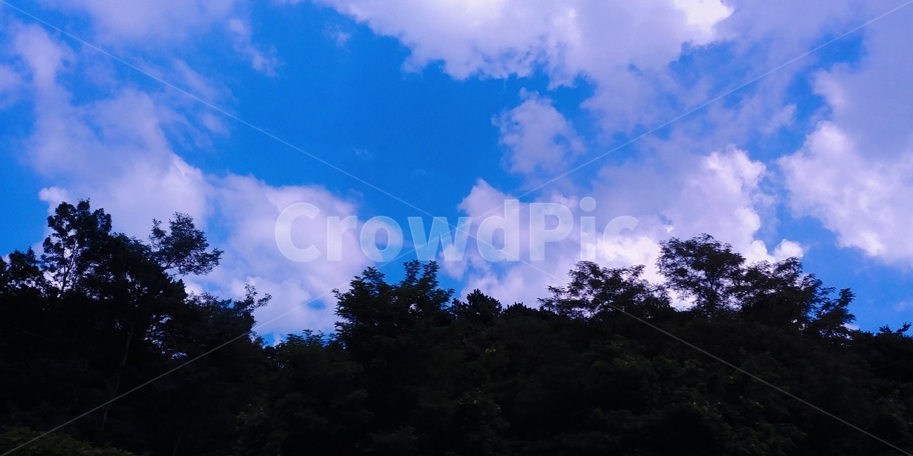 하늘,구름,나무,파란색,하늘색,하늘풍경,sky