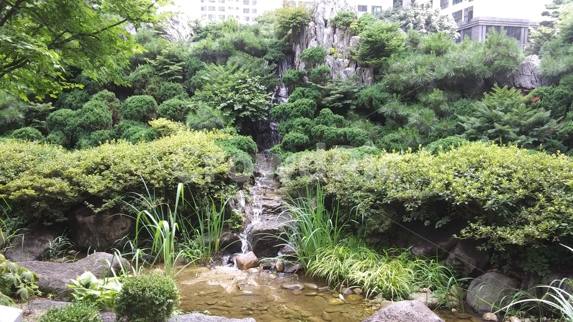 반포,정원,폭포,인공폭포,공원,서초구,여름,자연,산책,녹지,나뭇잎,나무,녹색,시원함,물,계곡