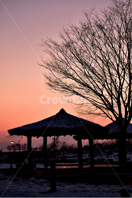 하늘공원,공원,park,오두막,나무,tree,silhouette,실루엣,siluet,그림자,sil,일몰,노을,sunset,한국명소,한국문화,도시,도심,도시풍경,도심풍경,풍경,쓸쓸함,조명,landscape,urban,city,nature,자연,outdoors,옥외