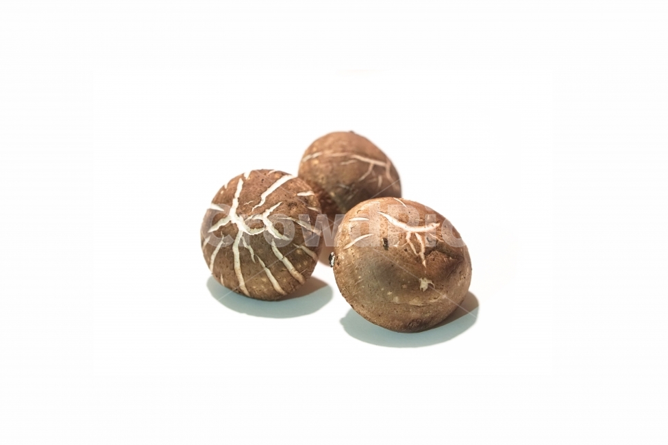 음식,재료,버섯,표고,누끼,버섯,mushroom,음식,식재료,요리,food,cook,meal,dishes,food reserves,누끼,remove background