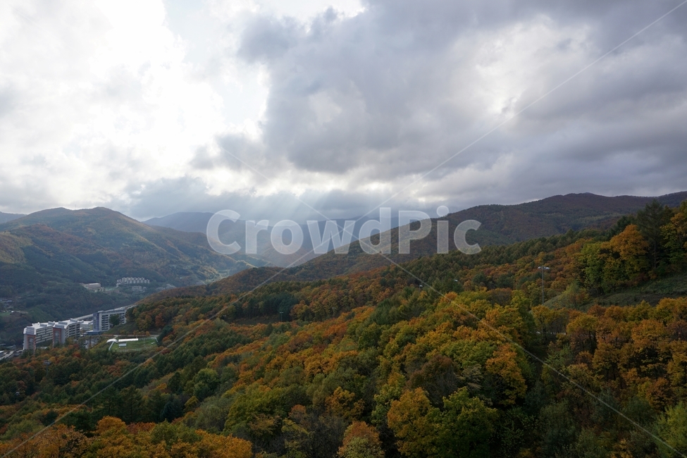 가을,풍경,단풍,산,햇살,빛,mountain,nature,자연,outdoors,옥외,mountainrange,산맥,강원도,구름