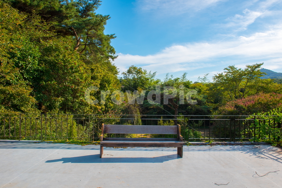 의자,자연,오래된,bench,벤치,고독,고독한의자