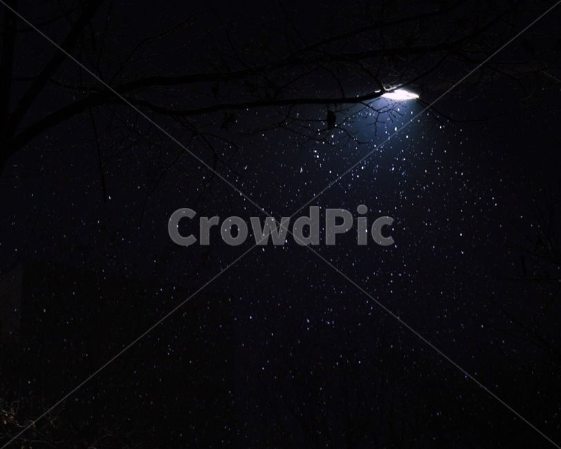 겨울,눈,가로등,반짝반짝,밤,감성,겨울,계절,winter,season,야경,밤,풍경,nightscape,night,landscape,nature,자연,outdoors,옥외
