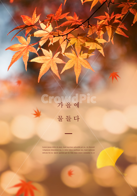 가을,편집,감성,단풍,낙엽,하늘,구름,산,가을산,가을단풍,가을하늘,가을편집,풍경,배경,감성편집,가을,계절,fall,autumn,season