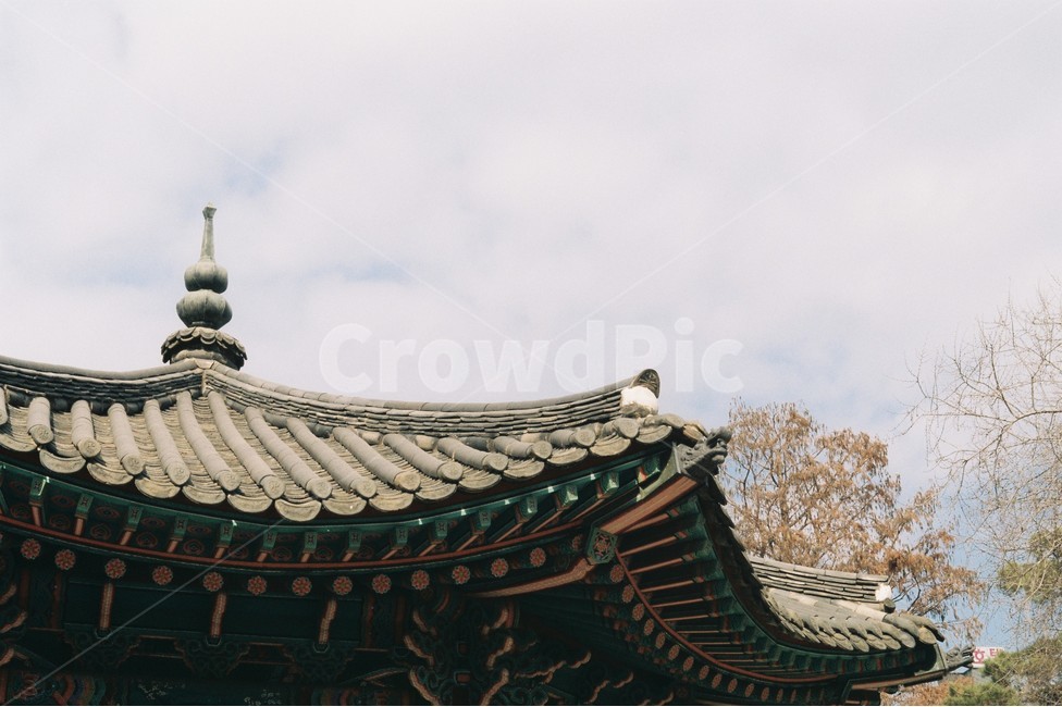 정자,탑골공원,한국전통,한옥,필름사진,한국전통,한국문화,korean traditional,korean culture,건축물,건물외관,exterior,building,structure,architecture,construction