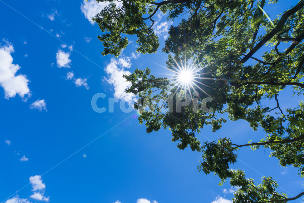 양평,다산생태공원,햇살,여름,하늘,파란하늘,자연,풍경,nature,landscape,flare,플레어,light,빛,sunlight,햇빛