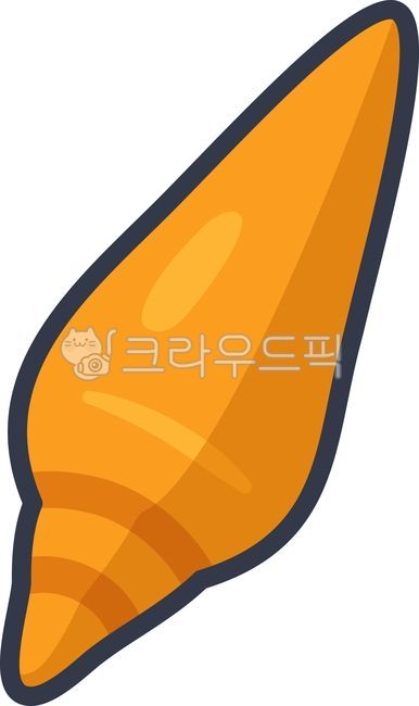 Conch,shell,sea life,beach,sea snail,summer accessory,sea shell,marine