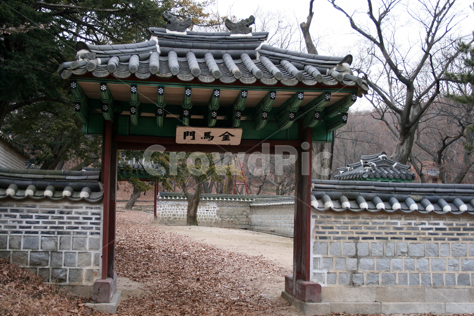 창덕궁,후원,금마문,세계문화유산,문화유산,한국,한국전통,한국문화,korean traditional,korean culture,건축물,건물외관,exterior,building,structure,architecture,construction