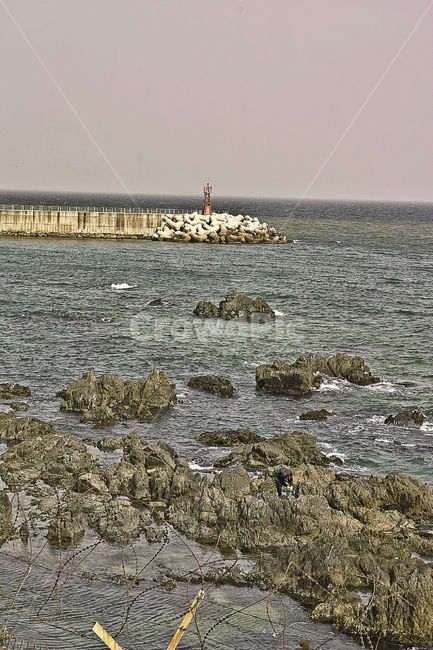 바다,강릉,안인,방파제,자연,nature,sea,해안선,옥외,outdoors