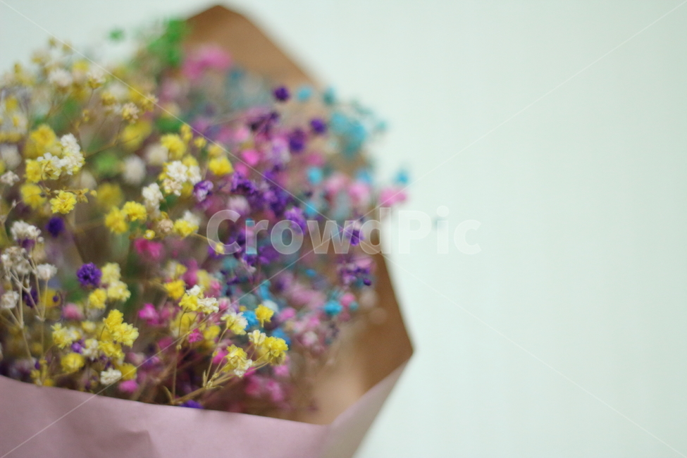 안개꽃,꽃,꽃다발,선물,flower,present