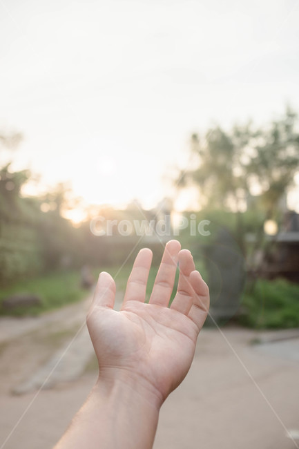 봄,여름,손,보케,플레어,빛,감성,따듯함