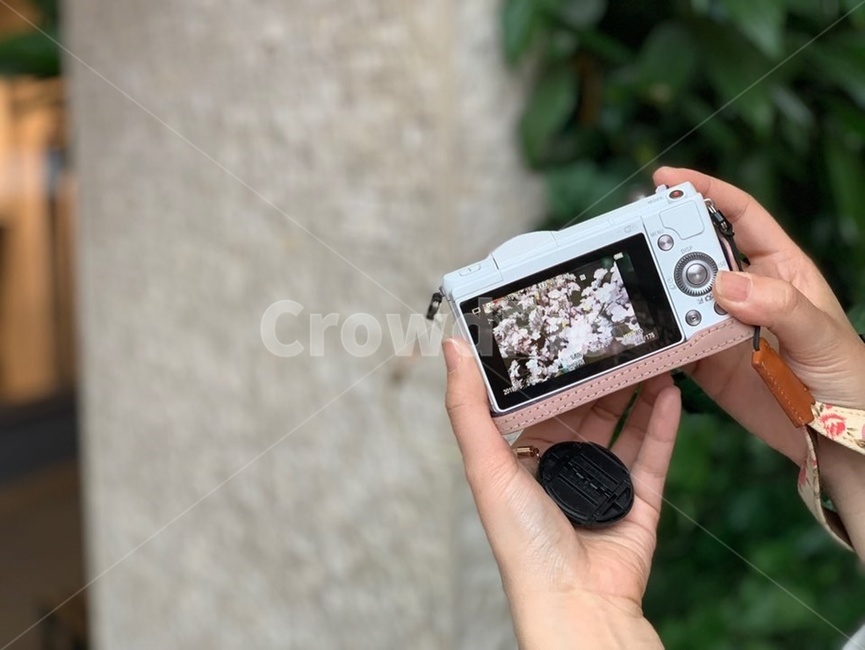 카메라,카메라사진,사진촬영,camera,카메라촬영