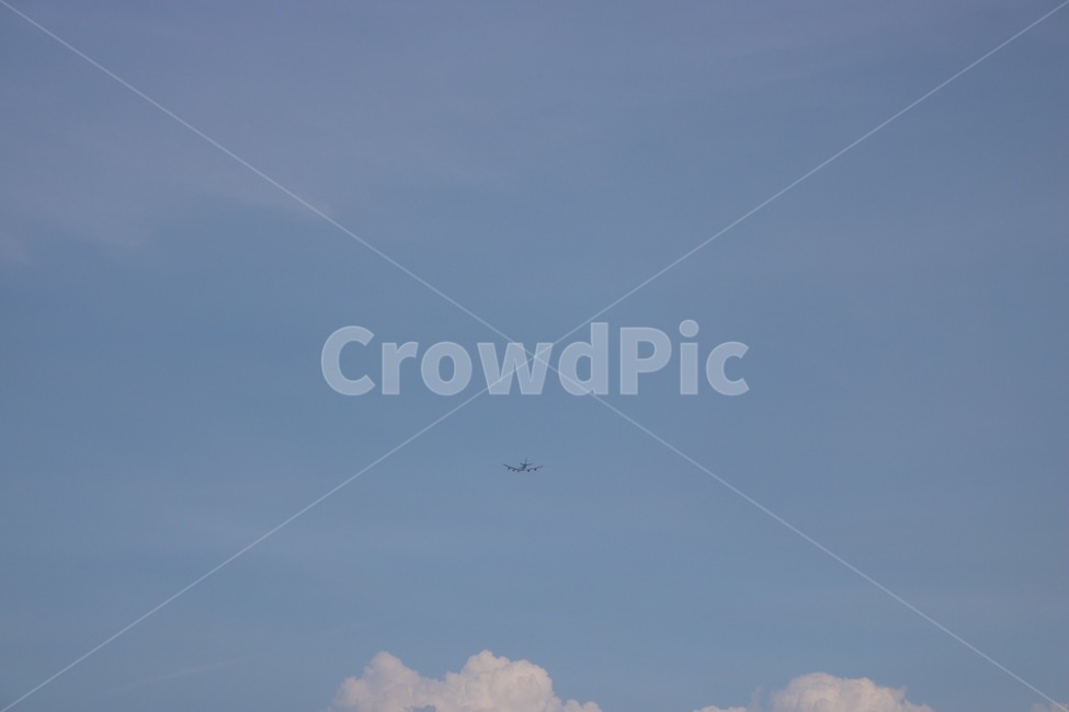 하늘,하늘색,비행기,여름,여행,감성,sky,sora,skyblue,sorairo,airplane,hikouki,summer,natsu,travel,ryokou,구름,cloud,kumo,흰색,white,shiro,자연,풍경,nature,landscape,교통,교통수단,traffic,transportation,flying,나는,animal,동물,bird,새,leisure activities,레저 활동,adventure,모험