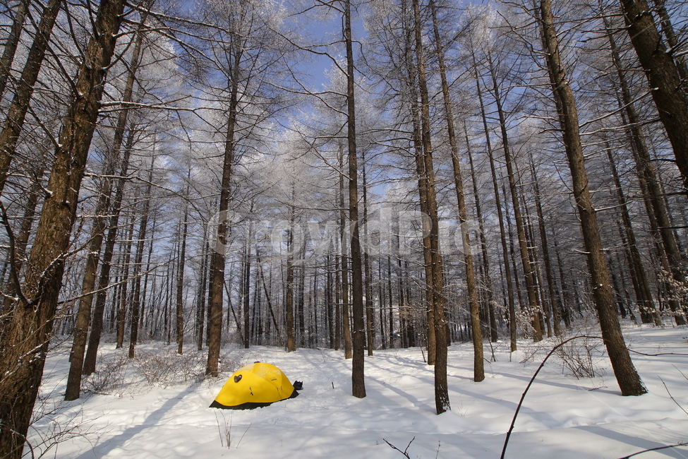 함백산,겨울,비박,낭만,풍경,겨울,계절,winter,season,자연,풍경,nature,landscape,여행,휴가,traveling,vacation,trip,camping,캠핑