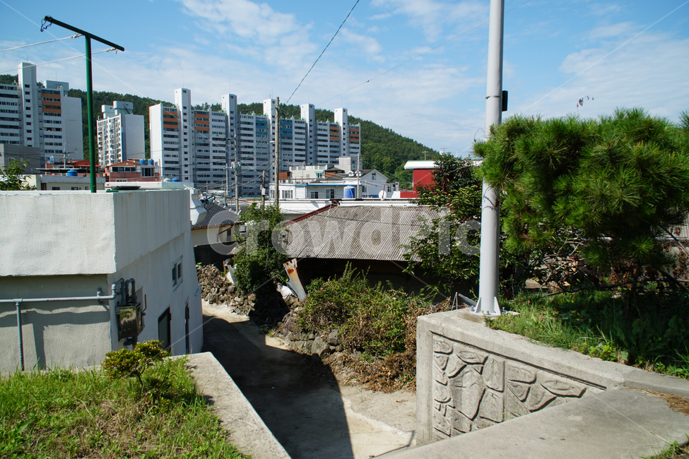 도시,동네,골목,아파트,주택,구옥,도시,풍경,city,landscape