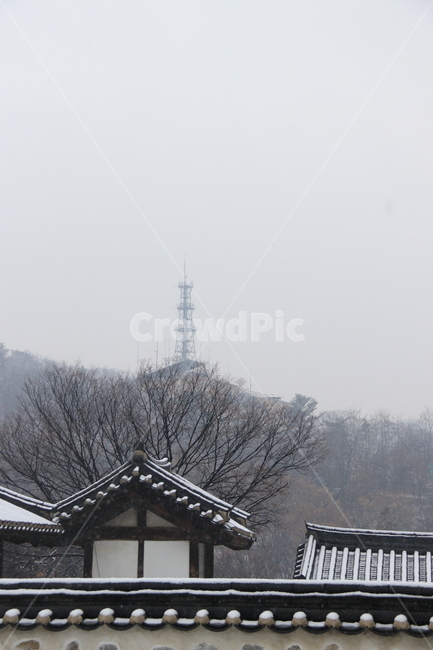 남산타워,전경,nature,자연,한옥,겨울,계절,winter,season,한국전통,한국문화,korean traditional,korean culture