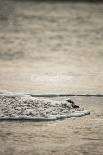 바다,여름,파도,해변,풍경,해변,바다,beach,sea
