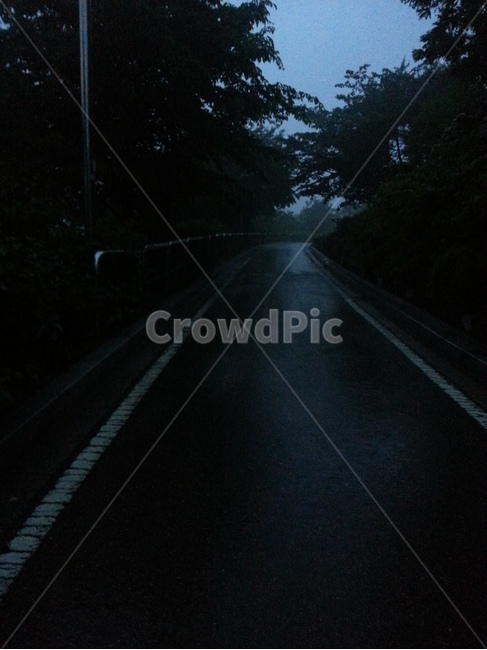 road,rain,비오는,어두운길,어두침침한,무서운,길,산책로