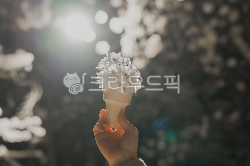 소프트아이스크림,softserveicecream,벚꽃,꽃,cherryblossom