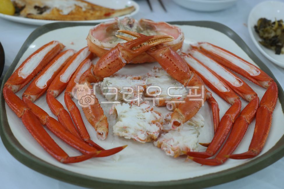 대게, 홍게, 게, 찜, 찌다, 사진,이미지,일러스트,캘리그라피 - 횽횽작가