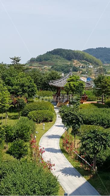 풍경,길,쉼터,팔각정,힐릴,자연,풍경,nature,landscape,outdoors,옥외,garden,정원