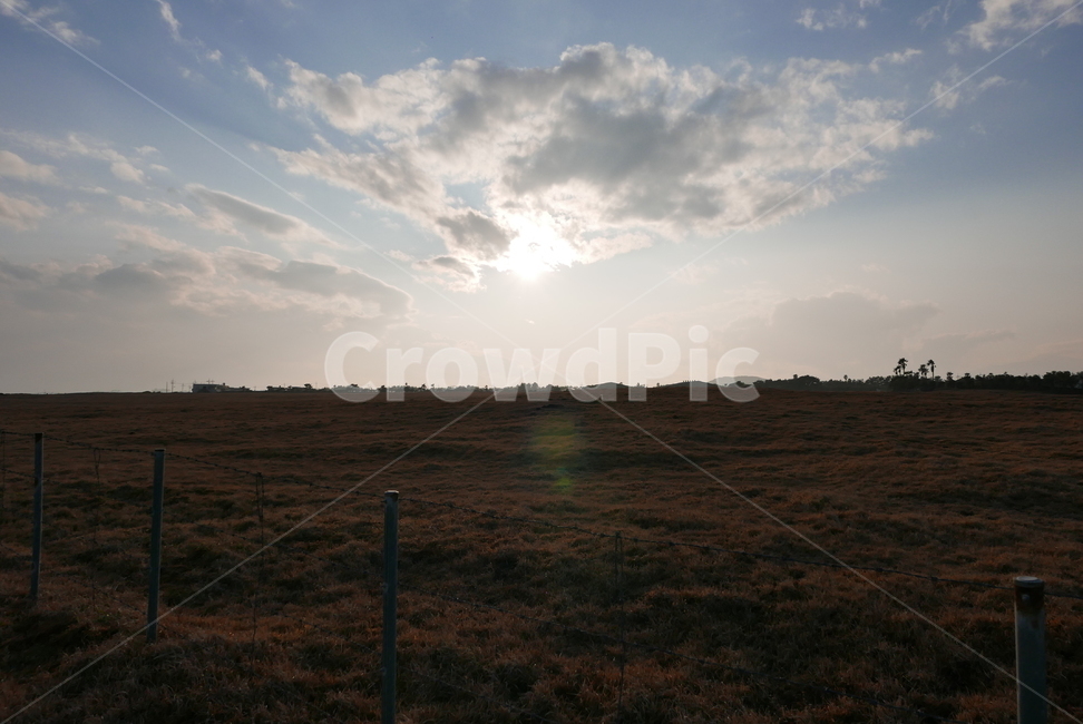 제주,일몰,평야,배경,nature,jeju,land,field,sunset,outdoors,자연,옥외