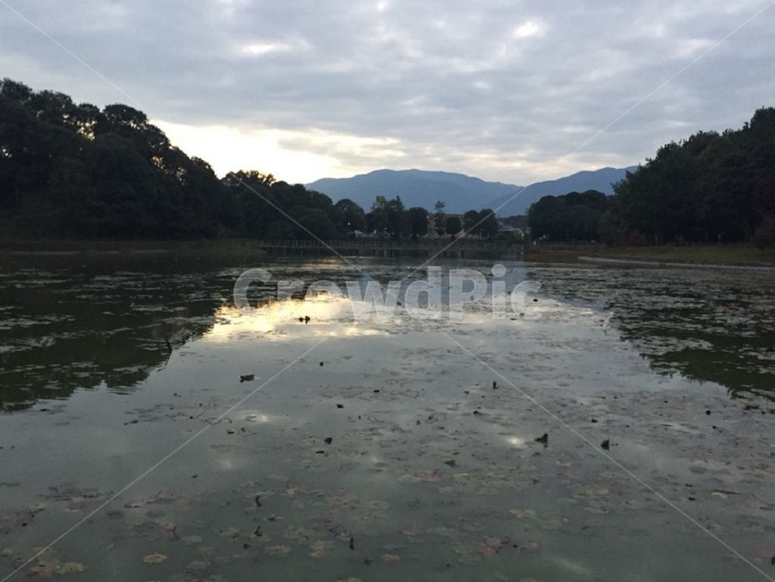 연못,노을,감성,밴치,호수