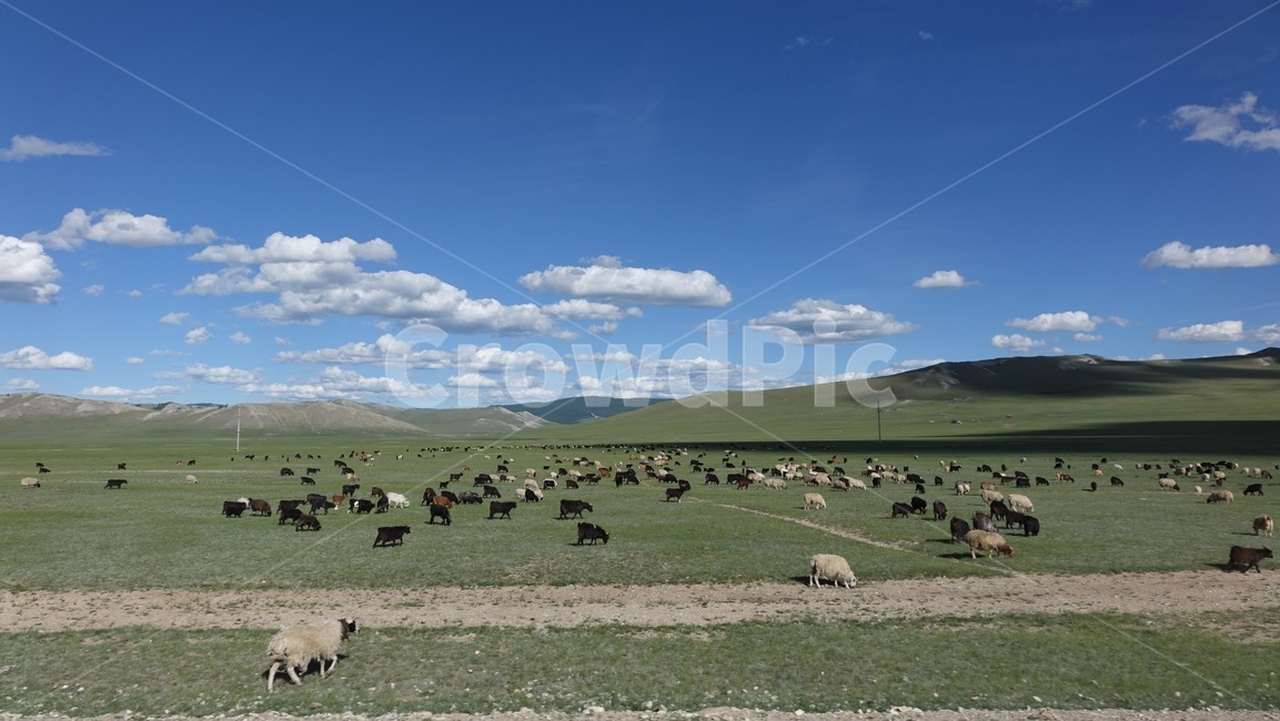 자연,blue,green,하늘,sky,벌판,초원,nature,field,몽골,몽고,MONGOLIA