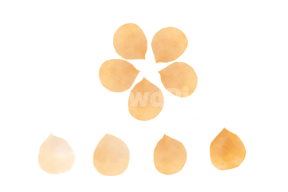 꽃,생화,수채화,일러스트,removebackground,스티커,누끼,누끼,remove background