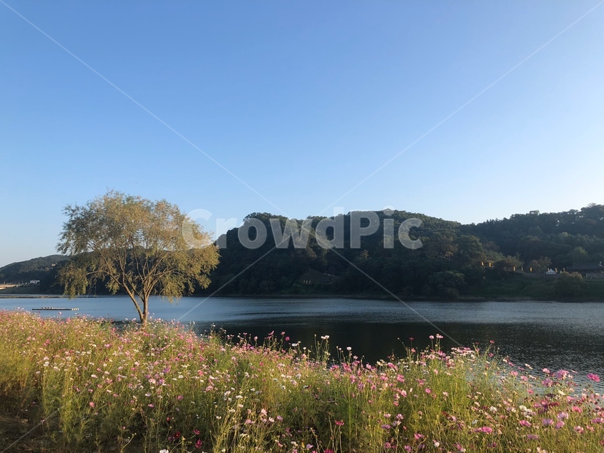자연,물,강,산,나무,꽃,풍경,힐링,배경,한국자연풍경,nature,water,river,mountain,flower,tree,healing,plant,rest,korean,landscape,outdoors,자연,풍경,nature,landscape
