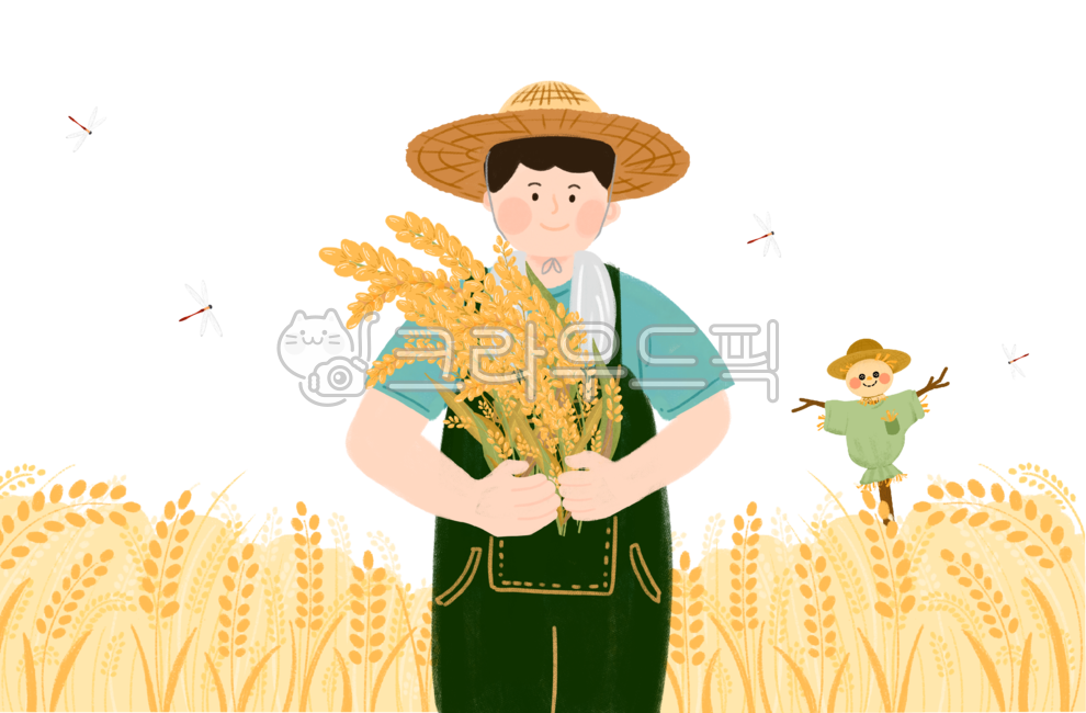 autumnal equinox,harvest,rice harvest,rice paddy,planting rice,rice,Thanksgiving,Ipchu,Cheoseo,thanksgiving festival,rice painting,rice farming,farming,farmer,autumn,grain,Scarecrow