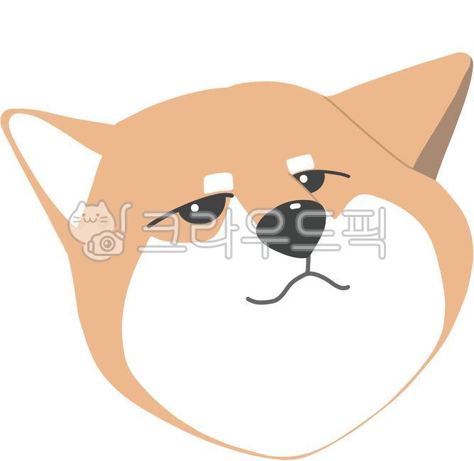 강아지,멍멍이,동물,반려견,사랑스러운강아지