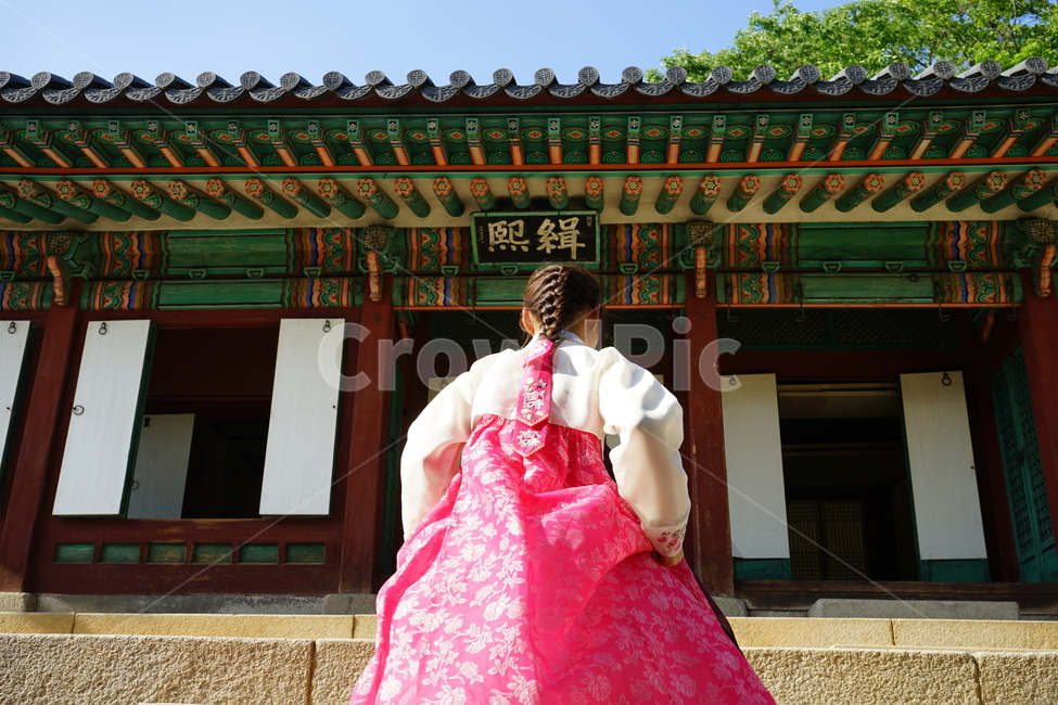 한복,궁,경복궁,서울,전통,traditional,핑크,분홍
