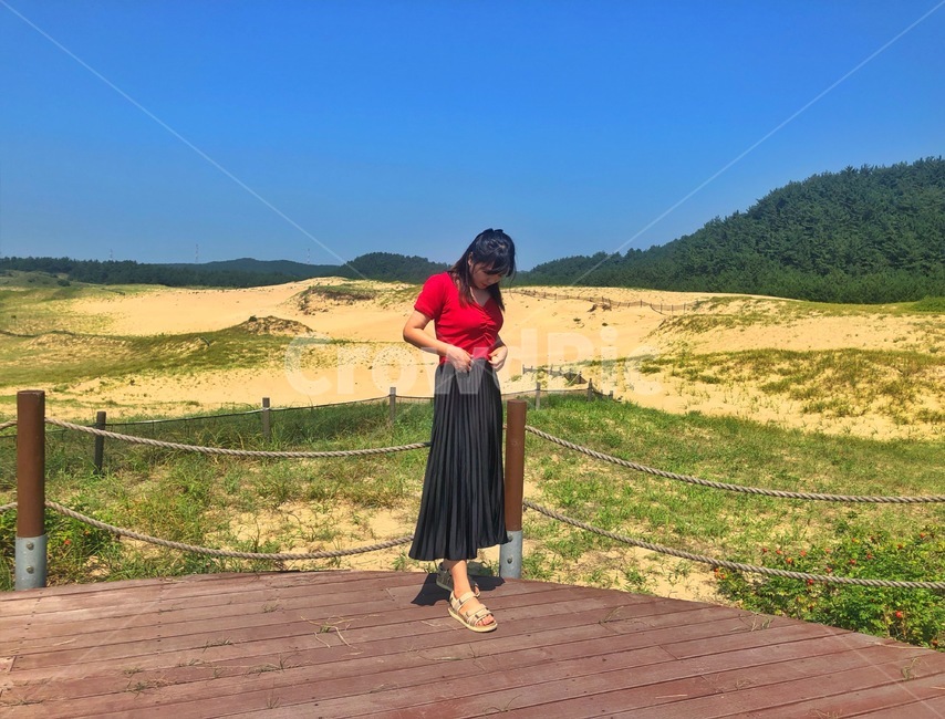 수목원,자연,나무,푸른하늘,여자전신,nature,arboretum,sky,womenstelegraph,scenery,사람,인물,인간,human,person,여성,여자,woman,female,lady