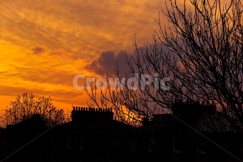 야경,노을,일몰,나무,하늘,sunset,tree,sky