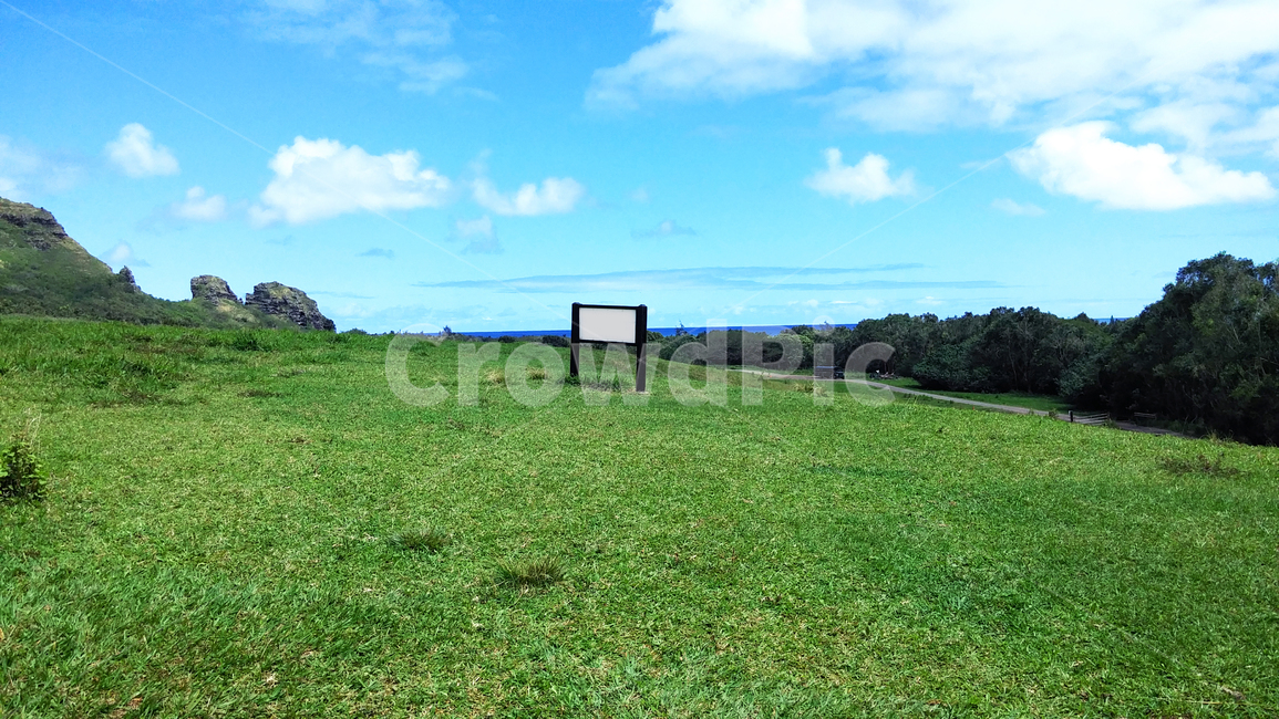 field,들,grassland,목초지,outdoors,plant,식물,여름,summer,바다,풍경,잔디,grass,자연,nature,옥외,휴가