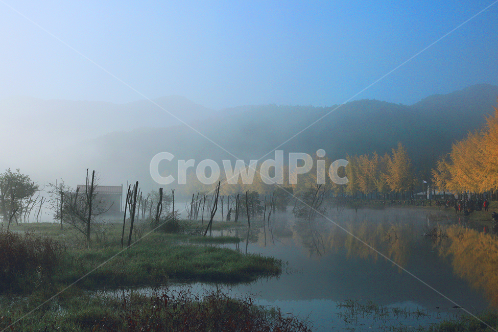 nature,자연,weather,날씨,outdoors,옥외,가을,호수,은행나무,은행,fall,autumn,lake,ginkgo,tree,가을,계절,fall,autumn,season,자연,풍경,nature,landscape