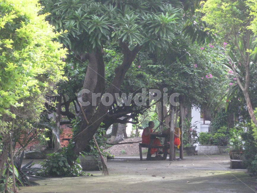 동남아,garden,정원,outdoors,옥외,정자,person,사람,bench,벤치,스님,green,수풀,나무