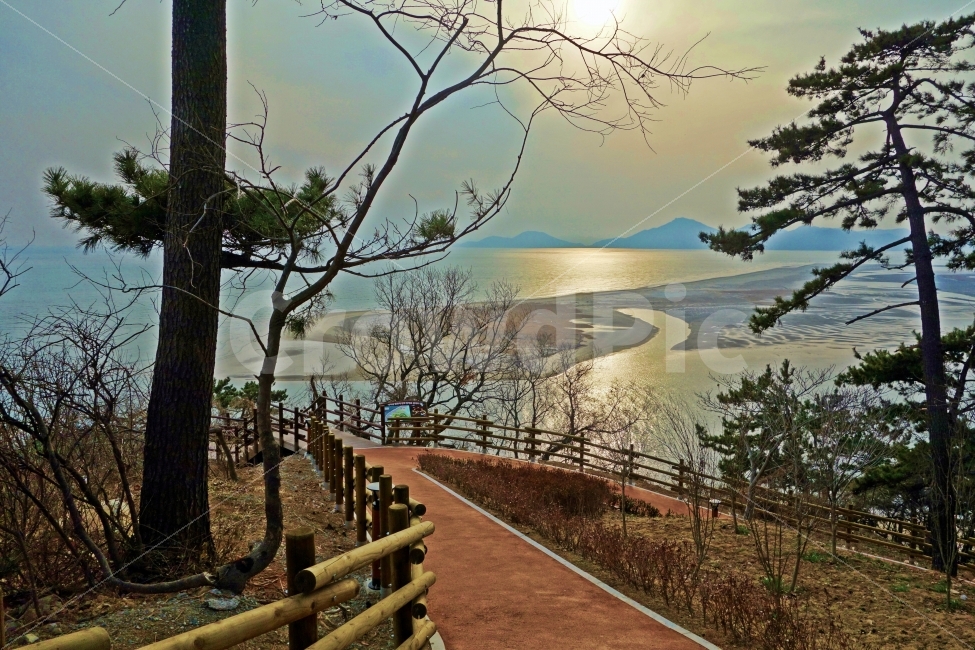 부산,낙동강하구,아미산전망대,연해사주,나무,낙동강,섬,여행,자연,풍경,경치,부산여행,해,햇빛,하구,다대포,아미산,전망대,자연,풍경,nature,landscape,banister,난간,handrail,railing,plant,식물,tree