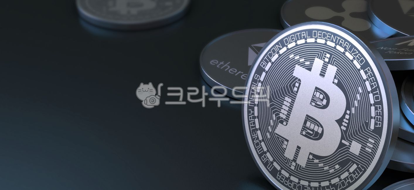 비트코인, bitcoin, bit, coin, coins, 사진,이미지,일러스트,캘리그라피 - tunasalmon작가