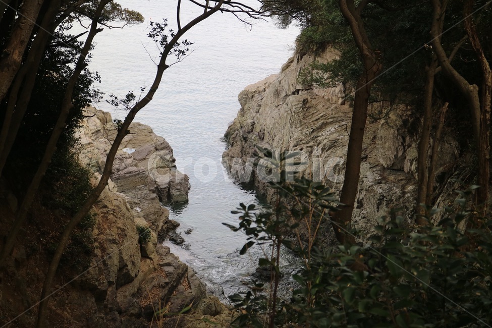 자연,곶,바다,여수,나무