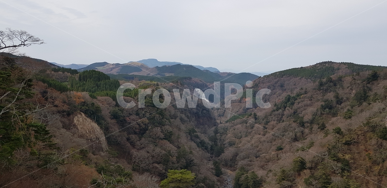 자연,퐁경,가을,겨울,산,자연,풍경,nature,landscape