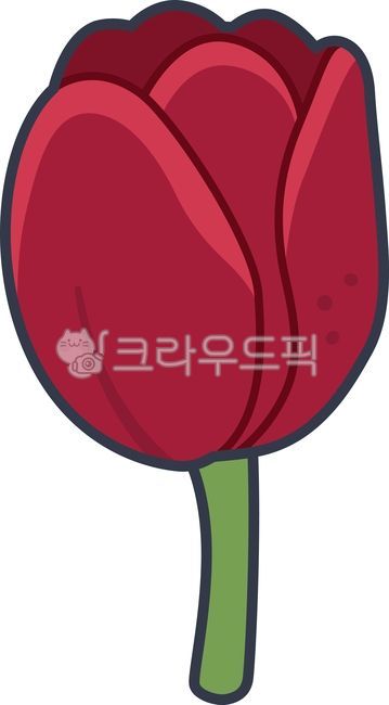 Tulip,red,red,sentimental,single flower,tulip illustration,tulip