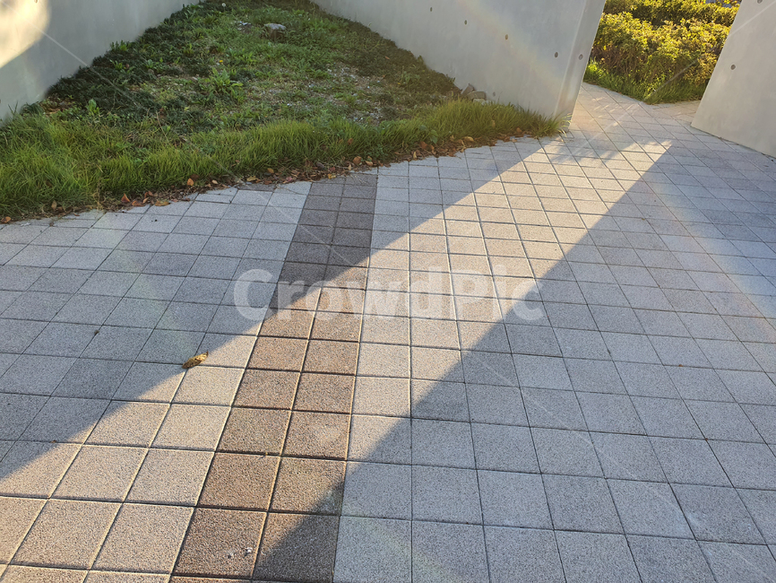 path,통로,빛,그림자,희망,문,바닥,공원,햇볕,따사로움,주목,자연조명,감성,힐링
