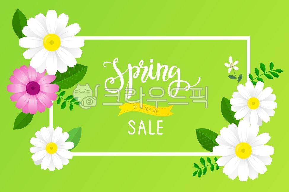 white flower,Callie,spring,spring flowers,purple flower,plants,drawing,season,vector,daisy flower,event,daisy,border,floral,nature,ribbon,banner,leaf,flower,popup,White,painting,background,plant,purple,English Calligraphy,illustration,poster,colorful,call