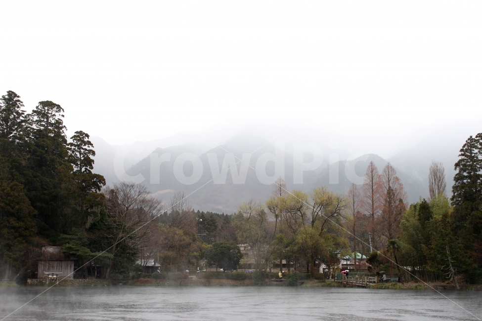 일본,해외,여행,풍경,호수,긴린코,해무,안개,비,자연,풍경,nature,landscape,해외,외국,세계,foreign,oversea,world,tree,나무,plant,식물,outdoors,옥외,fir,전나무